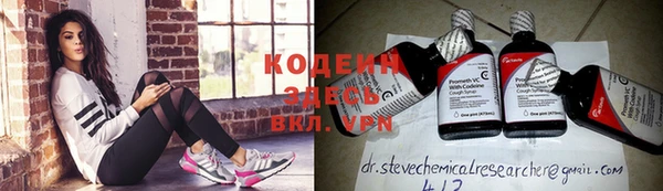 прущие грибы Абинск