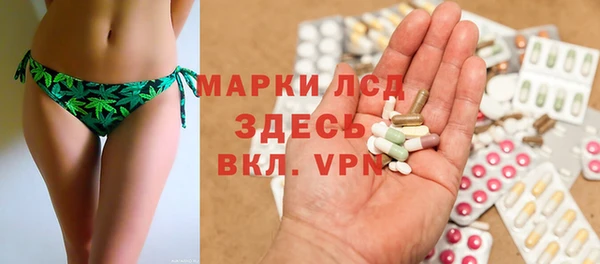 прущие грибы Абинск