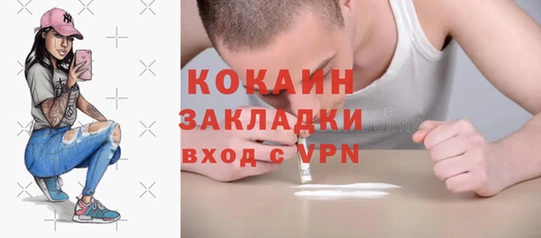 прущие грибы Абинск
