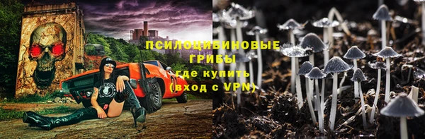 прущие грибы Абинск