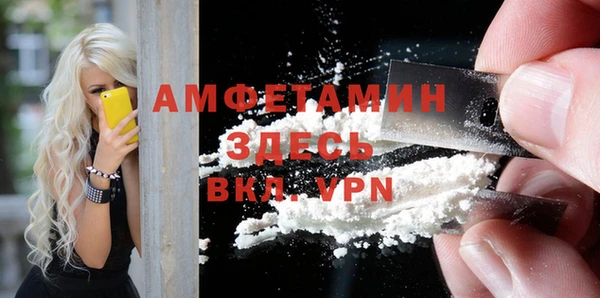 прущие грибы Абинск