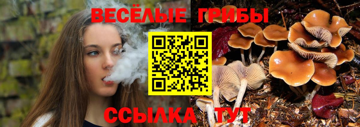Псилоцибиновые грибы ЛСД  Вход с VPN  Калининград  Псилоцибиновые грибы мухоморы 