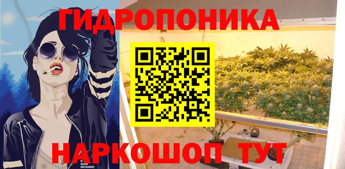 Шишки марихуана Bruce Banner  Вход с VPN  Шишки марихуана семена  Калининград 